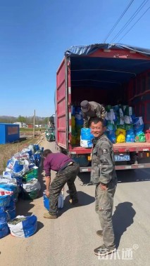 高度50厘米鸢尾