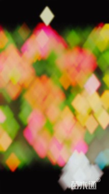 高度15厘米雏菊