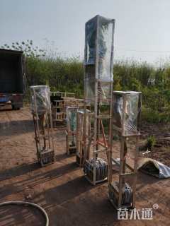 高度100厘米嫁接陕西卫矛