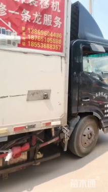 高度20厘米美女樱