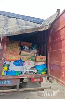 高度70厘米天鹅绒紫薇