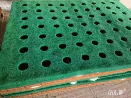 33厘米生态浮岛