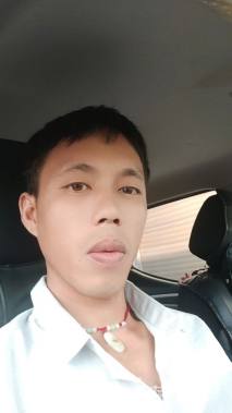 草卷状马尼拉草