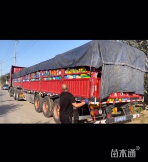 高度15厘米一支笔