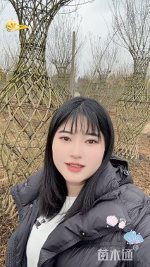 80公分紫薇花瓶