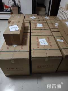 高度80厘米芍药