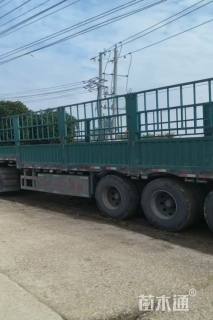 冠幅200厘米红叶石楠球