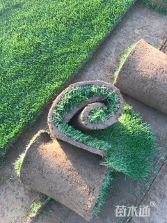 草毯