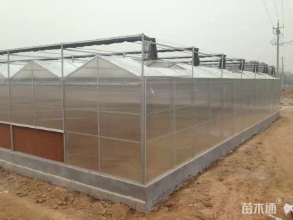 温室大棚