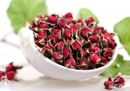 高度12厘米四季玫瑰