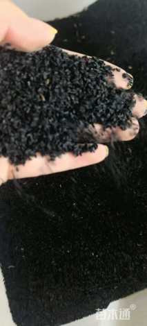 大花葱种子大花葱种子