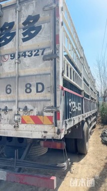 高度100厘米花叶蒲苇