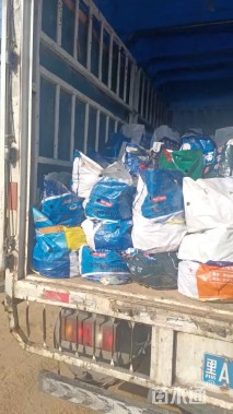 高度40厘米鼠尾草