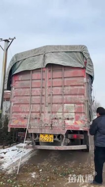 高度30厘米毛地黄