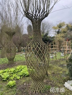 5公分编艺紫薇花瓶