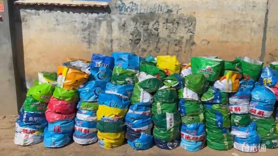 高度20厘米鸢尾