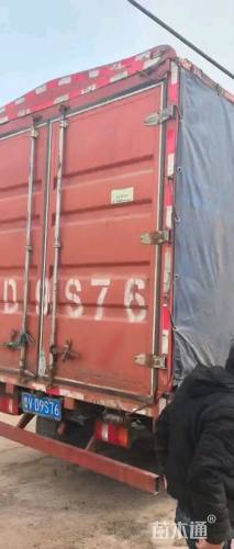 高度30厘米康乃馨