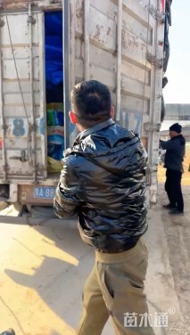 高度40厘米垂筒花