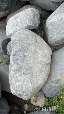 园林景观石园林景观石