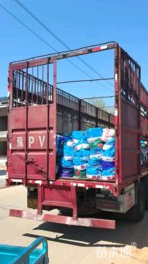 高度50厘米火星花