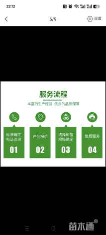 20公分美国红枫