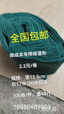 12.5公分桂花