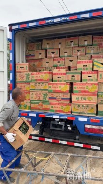 高度50厘米红王子锦带