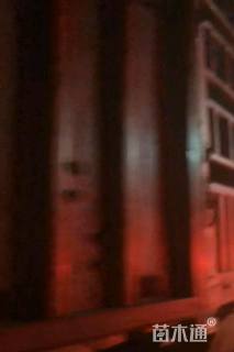 高度50厘米溲疏