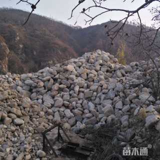 高度5厘米鹅卵石