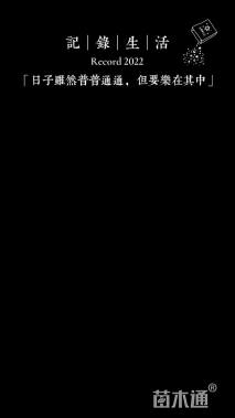 高度35厘米火焰狼尾草