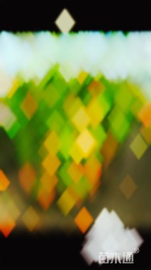 180厘米藤本月季