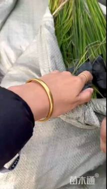 高度30厘米灯心草