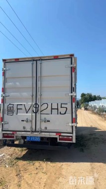 高度80厘米荻草