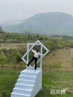 稻草工艺品制作丰收节稻草人大型稻草动物草编动物卡通稻草雕