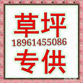 黑麦草