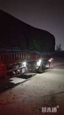 高度33厘米八仙花