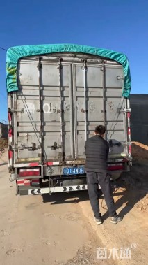 高度40厘米粉黛乱子草