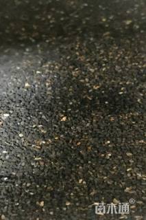 黑种草种子
