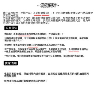 30公分造型赤楠
