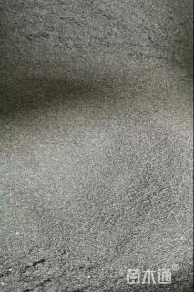 太阳花太阳花种子