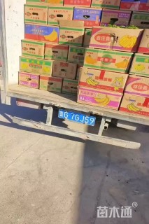 高度15厘米绣球