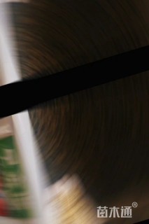 旱金莲种子旱金莲种子