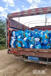 高度40厘米火炬花