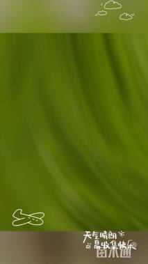 高度15厘米吉祥草