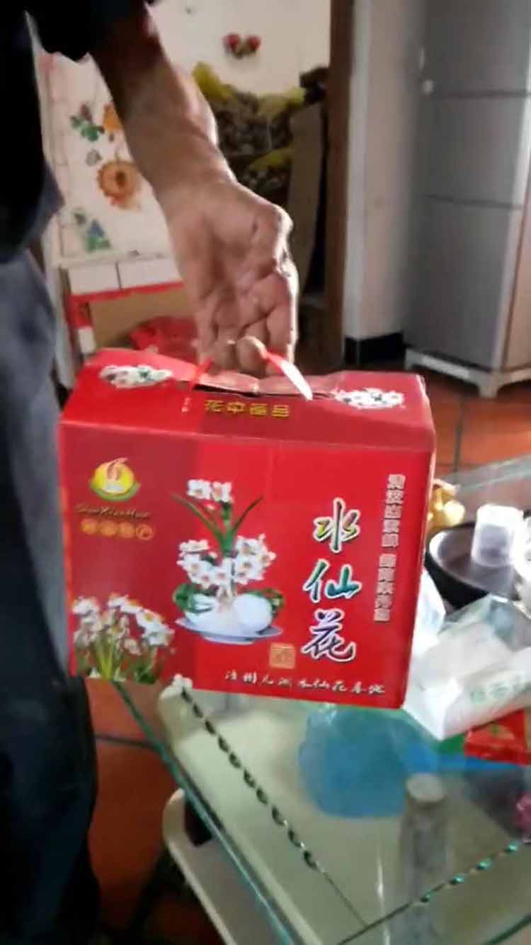 水仙种球