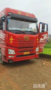 高度40厘米绣球