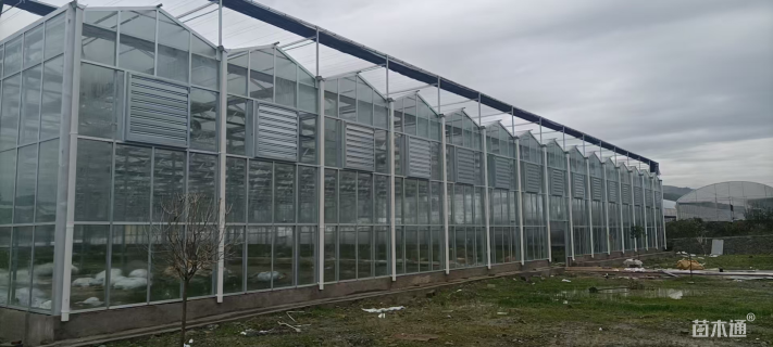 温室大棚