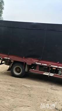 高度80厘米珍珠梅