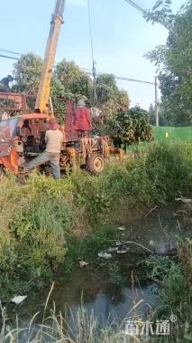 冠幅200厘米红叶石楠球