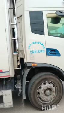 高度25厘米蛇鞭菊